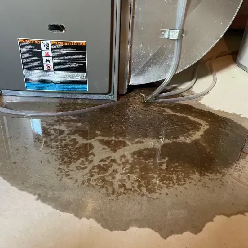 Appliance Leak Cleanup in City of Hampton, VA